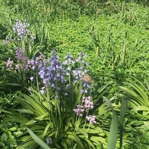 Meet your Posher, Lexi